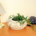 Restaurant Buergerklause Tapken فندق 4*